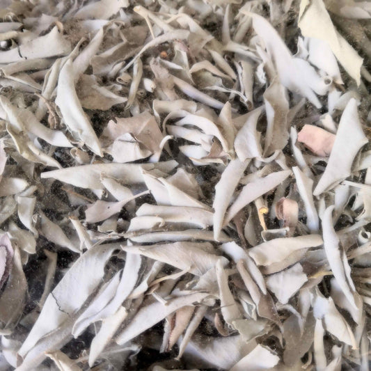 Feuilles séchées - Sauge blanche - Purification