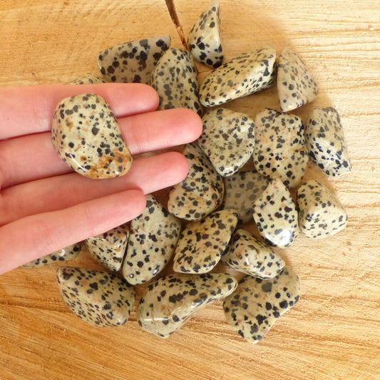 Pierre roulée - Jaspe dalmatien - Unité