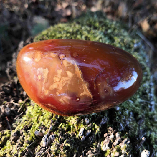 Galet - Cornaline - Épanouissement