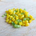 Bergamote 30g ~ Succès