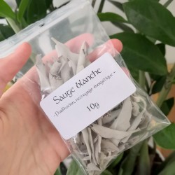 Encens SAUGE BLANCHE Salvia apiana (dite DE CALIFORNIE) cultivée en France  Feuilles qualité extra POUR FUMIGATION PURIFICATION