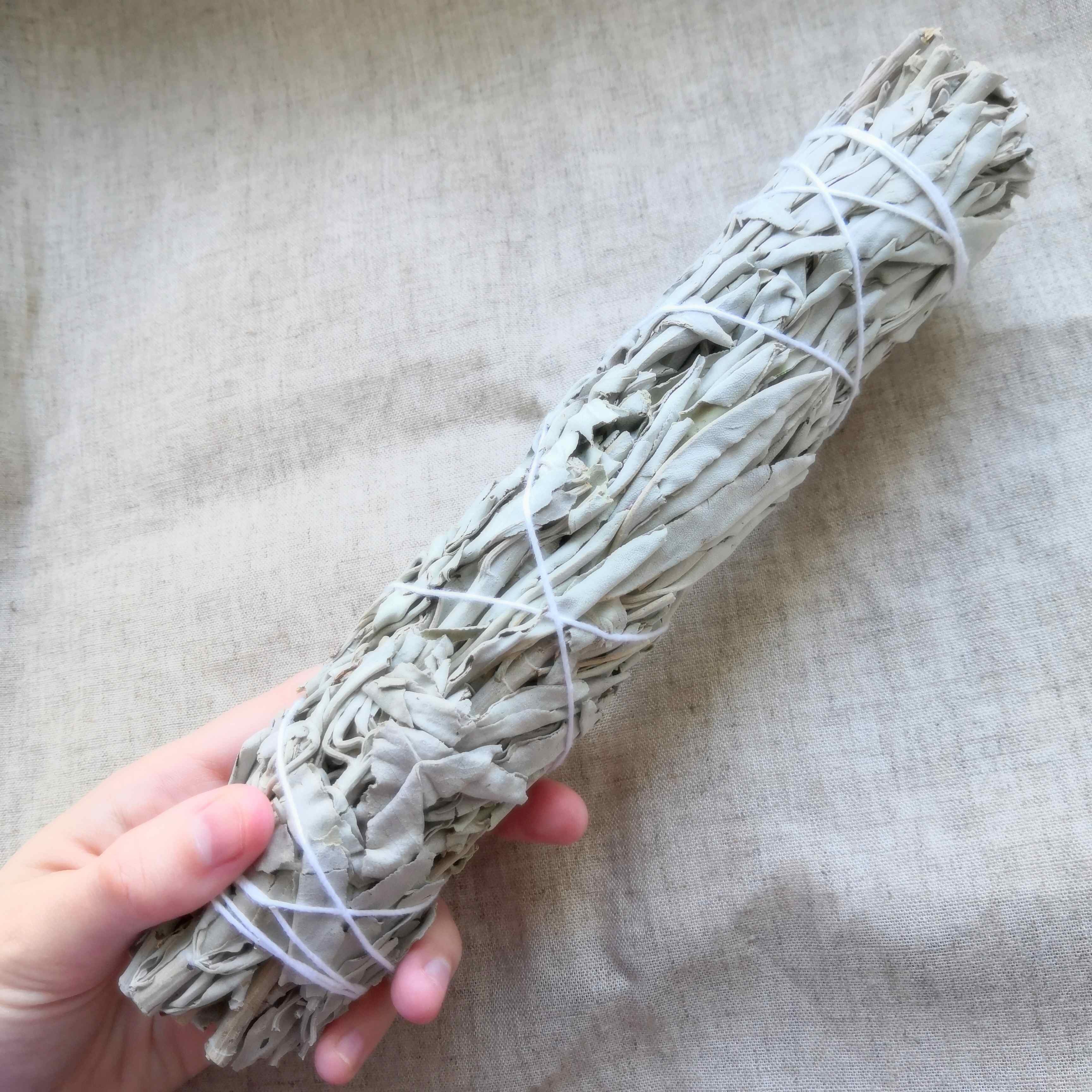 Grand smudge de Sauge blanche 23cm ~ Purification