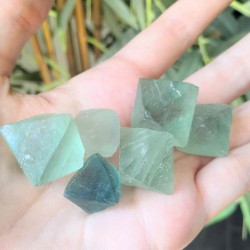 Octaèdre de fluorite verte ~ Sagesse