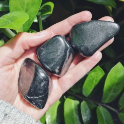 Shungite ~ Protection