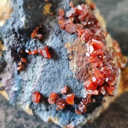 Cristaux de Vanadinite sur matrice rocheuse ~ Volonté