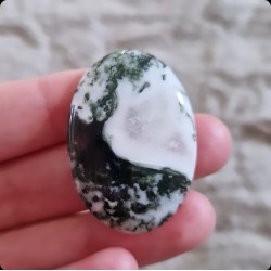 Cabochon d'Agate Arbre ~ Régénération