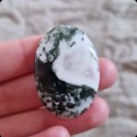 Cabochon d'Agate Arbre ~ Régénération