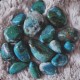 Chrysocolle ~ Sagesse