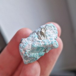 Turquoise brute à inclusion de pyrite du Mexique (Los Campitos)
