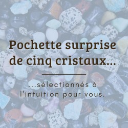 Pochette surprise de cinq cristaux (choisis à l'intuition)