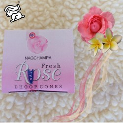 Nag Champa en cône (Satya) ~ Joie