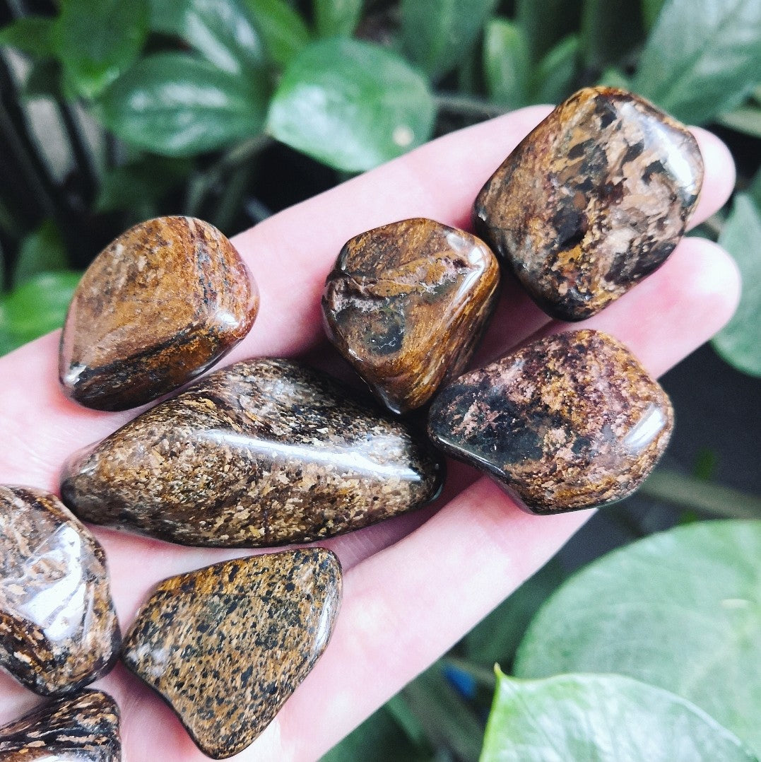 Bronzite ~  Maîtrise