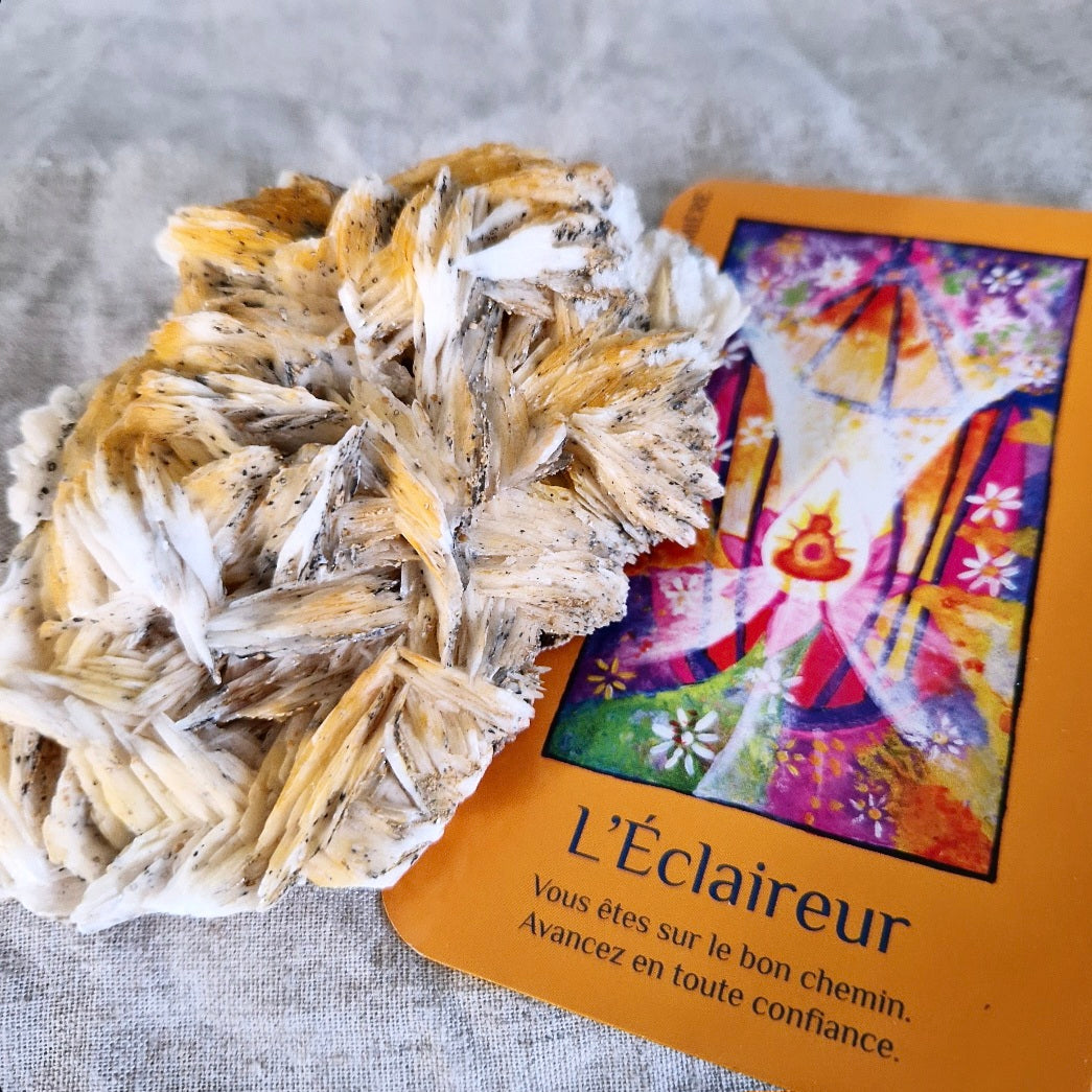 Galène sur barytine (pièce de collection)