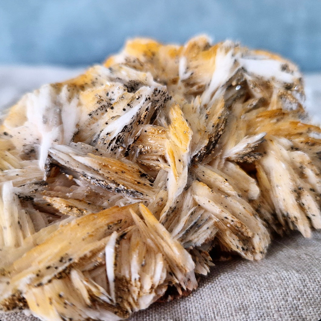 Galène sur barytine (pièce de collection)